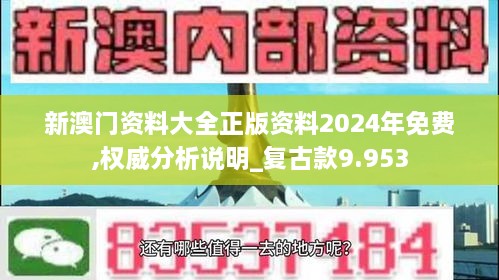 新澳门资料大全正版资料2024年免费,权威分析说明_复古款9.953