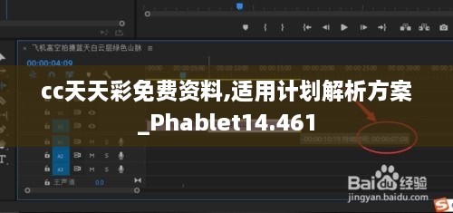 cc天天彩免费资料,适用计划解析方案_Phablet14.461