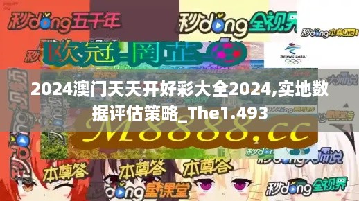 2024澳门天天开好彩大全2024,实地数据评估策略_The1.493