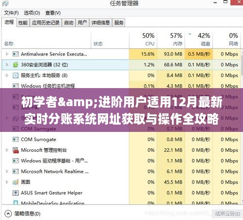 最新实时分账系统网址获取与操作全攻略，适合初学者与进阶用户参考（附详细教程）