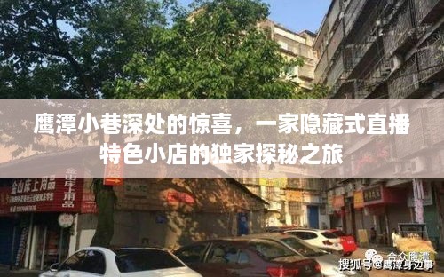 鹰潭小巷深处的直播特色小店探秘之旅