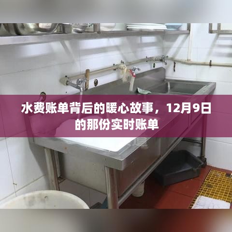 水费账单背后的暖心故事，实时账单揭示温情时刻（12月9日）