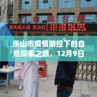 乐山市疫情防控下的自然探索之旅，宁静防线与心灵地图的12月9日体验