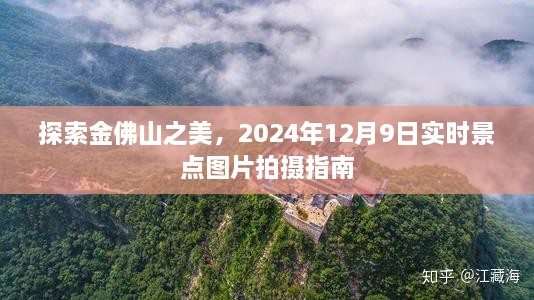 探索金佛山之美，2024年12月9日实时景点图片拍摄攻略