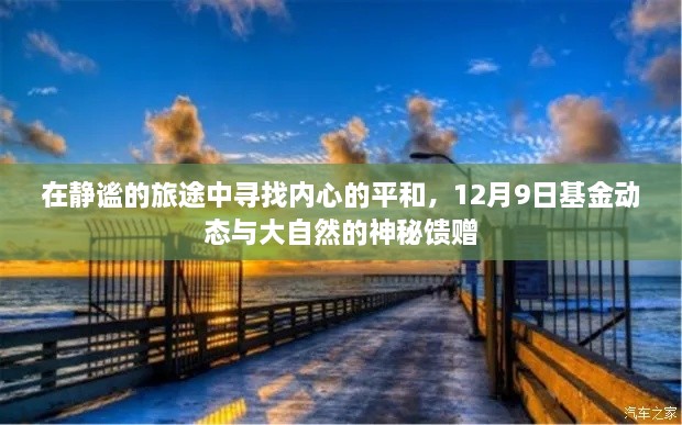 静谧旅途中的心灵寻觅，基金动态与自然的神秘馈赠（12月9日）