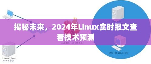 2024年12月10日 第117页