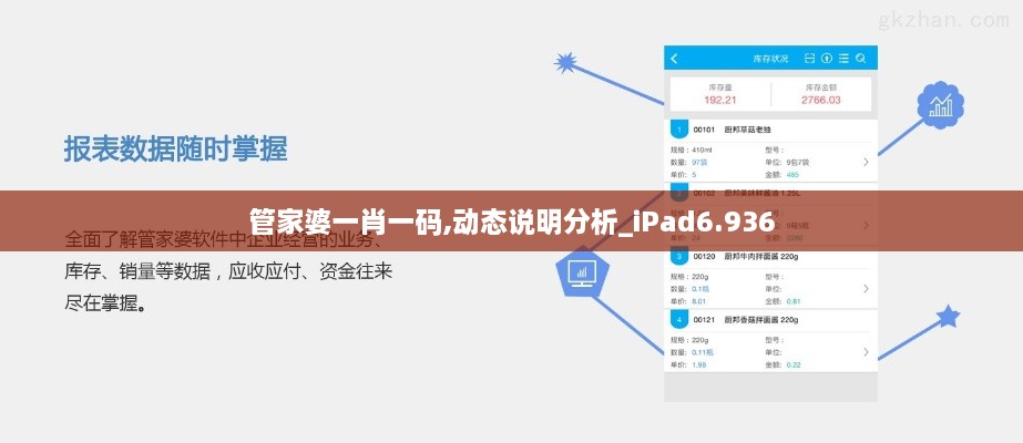 管家婆一肖一码,动态说明分析_iPad6.936