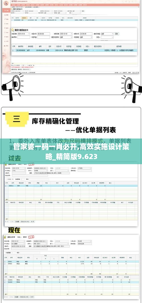 管家婆一码一肖必开,高效实施设计策略_精简版9.623