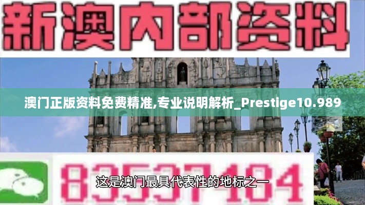 澳门正版资料免费精准,专业说明解析_Prestige10.989