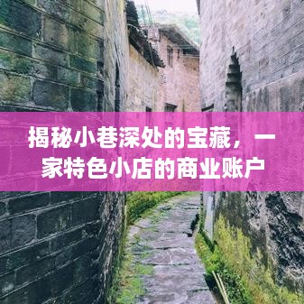 小巷深处的宝藏，特色小店商业账户实时统计揭秘之旅