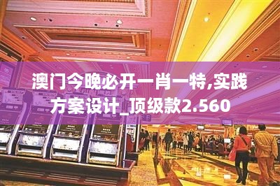 澳门今晚必开一肖一特,实践方案设计_顶级款2.560