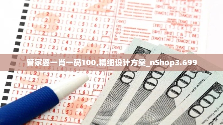 管家婆一肖一码100,精细设计方案_nShop3.699