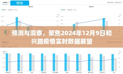 聚焦2024年12月9日，和兴路疫情实时数据预测与洞察