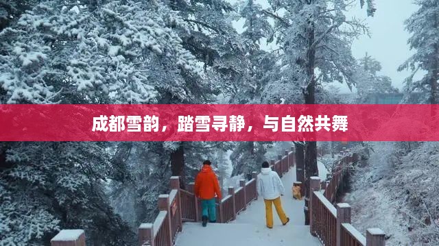 成都雪韵之美，踏雪寻静，与自然共舞之旅