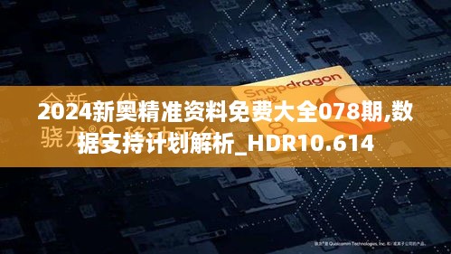 2024新奥精准资料免费大全078期,数据支持计划解析_HDR10.614