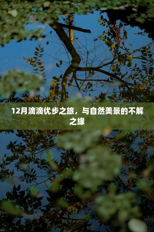 12月滴滴优步之旅，与自然美景的邂逅之旅