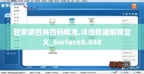 管家婆四肖四码精准,详细数据解释定义_Surface8.848