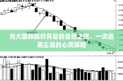 光大国际股价背后的故事，自然之旅的心灵探险之旅