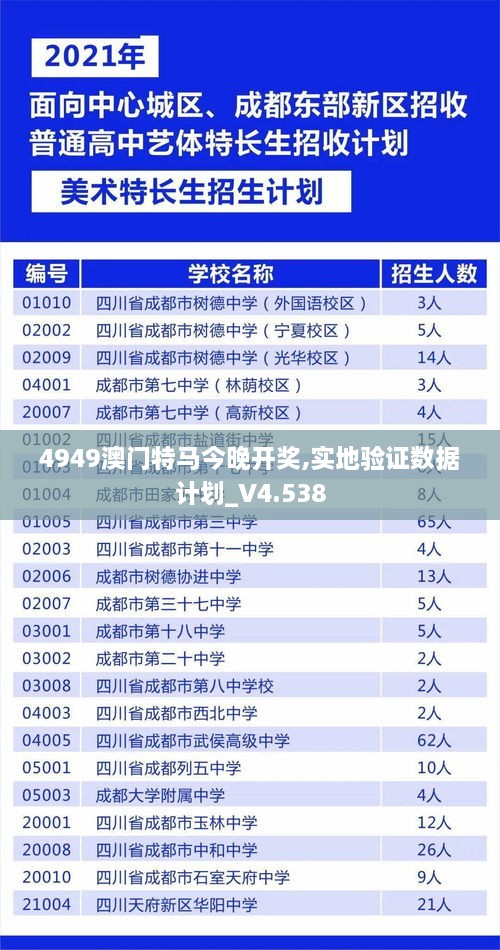 4949澳门特马今晚开奖,实地验证数据计划_V4.538