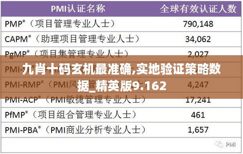 九肖十码玄机最准确,实地验证策略数据_精英版9.162