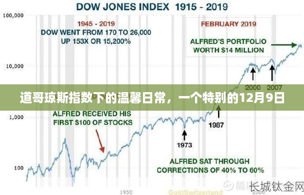 道哥琼斯指数下的温馨日常，特别纪念12月9日