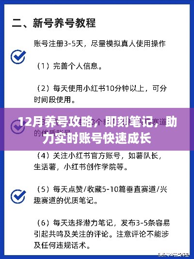 12月账号养号攻略，即刻笔记助力账号快速成长