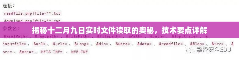 揭秘十二月九日实时文件读取技术详解，奥秘与要点全解析