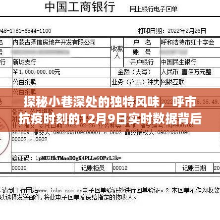 呼市小巷深处的风味与抗疫实时数据背后的故事