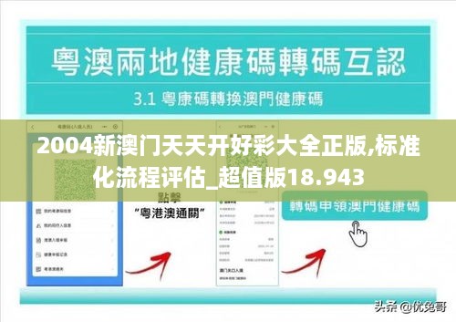 2004新澳门天天开好彩大全正版,标准化流程评估_超值版18.943