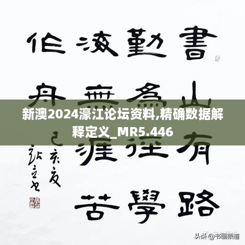 新澳2024濠江论坛资料,精确数据解释定义_MR5.446