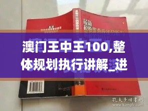 澳门王中王100,整体规划执行讲解_进阶版6.404