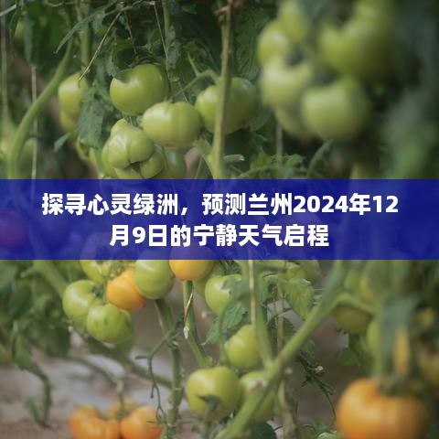 兰州心灵绿洲之旅，宁静天气的启程预测——2024年12月9日