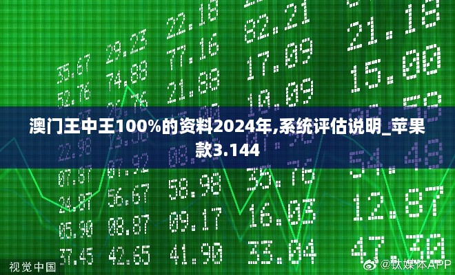 澳门王中王100%的资料2024年,系统评估说明_苹果款3.144