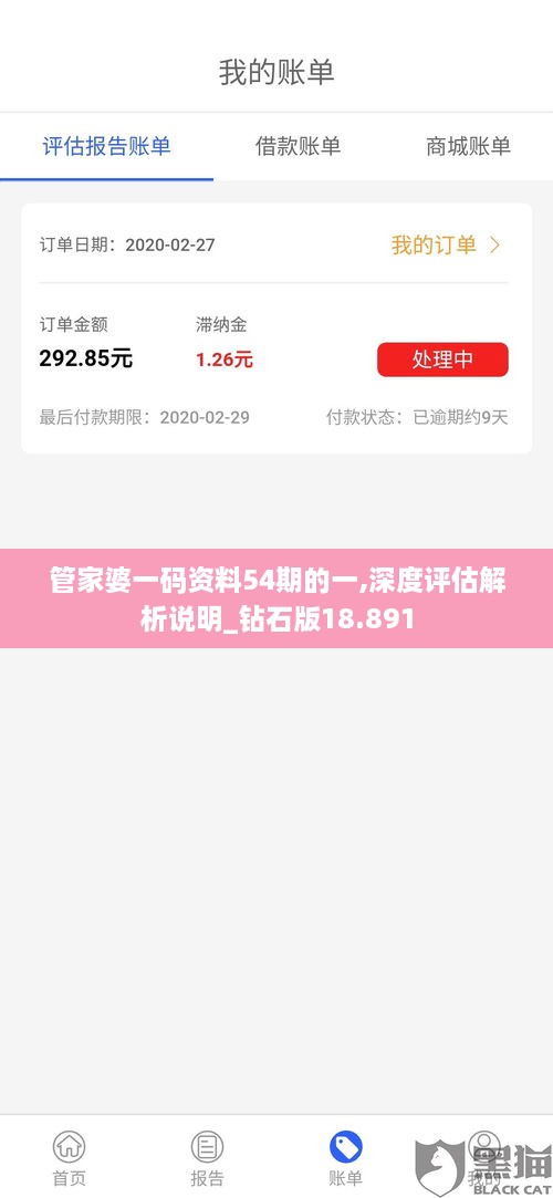 管家婆一码资料54期的一,深度评估解析说明_钻石版18.891