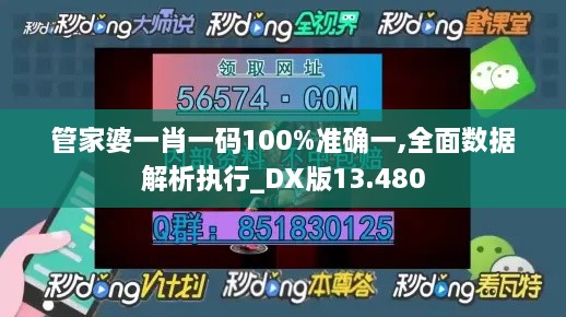 管家婆一肖一码100%准确一,全面数据解析执行_DX版13.480