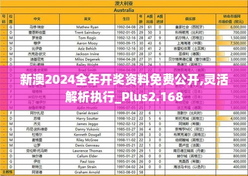 新澳2024全年开奖资料免费公开,灵活解析执行_Plus2.168