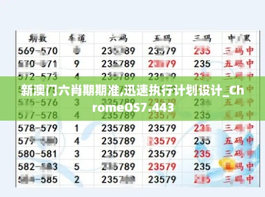 新澳门六肖期期准,迅速执行计划设计_ChromeOS7.443