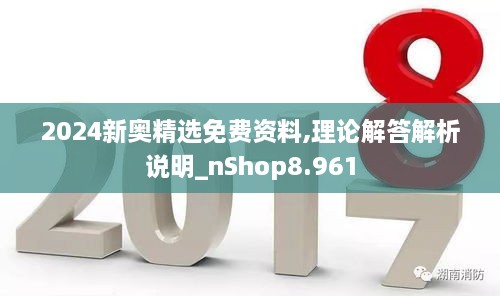 2024新奥精选免费资料,理论解答解析说明_nShop8.961