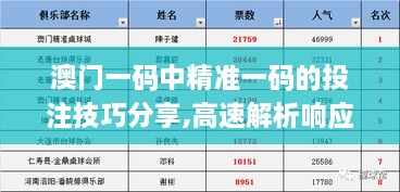 澳门一码中精准一码的投注技巧分享,高速解析响应方案_专属版1.221