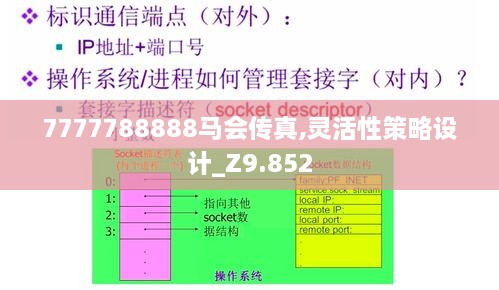 2024年12月10日 第55页