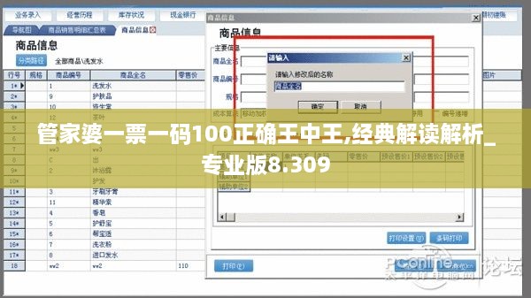 管家婆一票一码100正确王中王,经典解读解析_专业版8.309