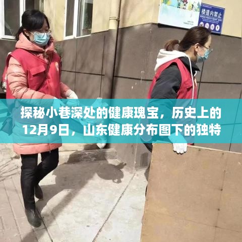 探秘山东小巷深处的健康瑰宝，历史上的独特小店之旅（12月9日山东健康分布图揭秘）