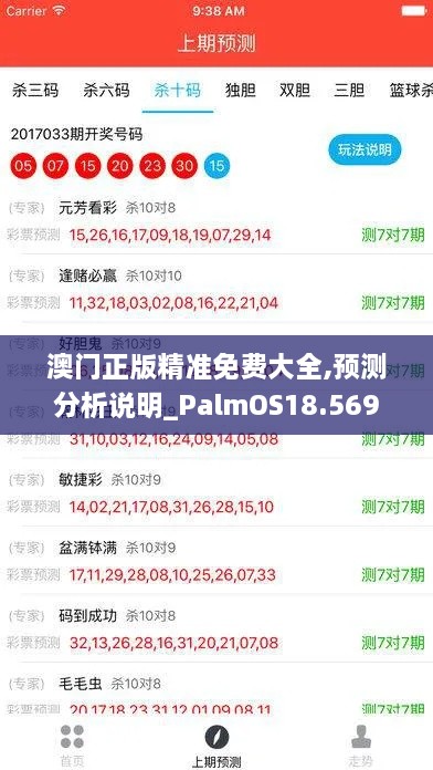 澳门正版精准免费大全,预测分析说明_PalmOS18.569