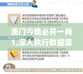 澳门今晚必开一肖1,深入执行数据策略_超级版6.741