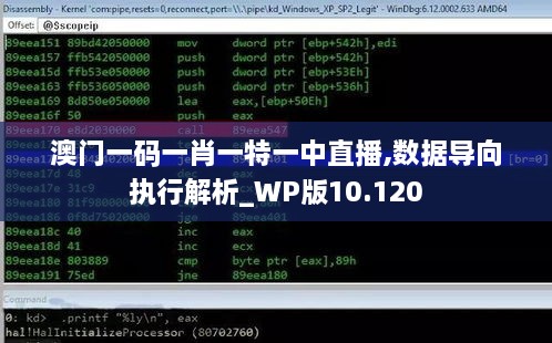 澳门一码一肖一特一中直播,数据导向执行解析_WP版10.120