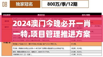 2024澳门今晚必开一肖一特,项目管理推进方案_yShop2.378