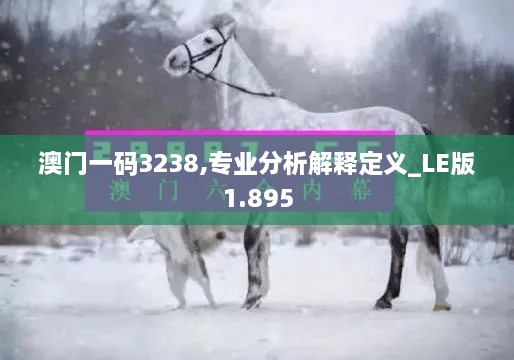 澳门一码3238,专业分析解释定义_LE版1.895