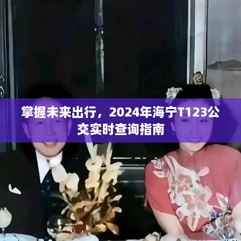 掌握未来出行，海宁T123公交实时查询指南（2024版）