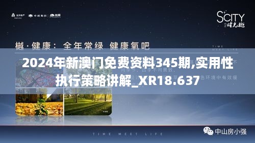 2024年新澳门免费资料345期,实用性执行策略讲解_XR18.637