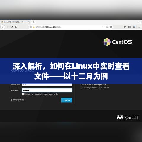 Linux中实时查看文件的深度解析——以十二月为例